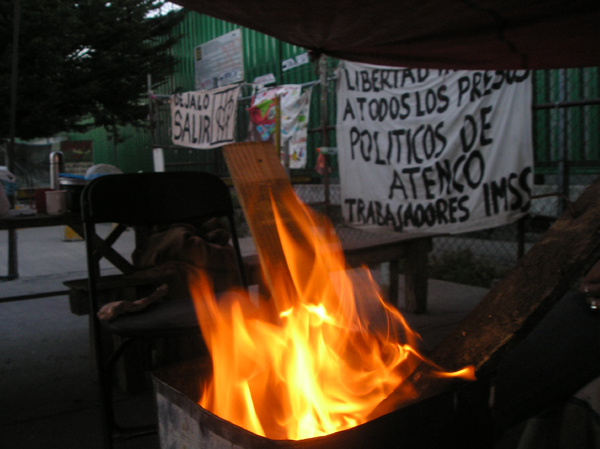foto_planton_04