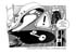 amazzone_01