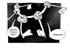 amazzone_02