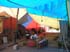 foto_planton_03